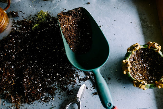 The Life Cycle of a Beeswax Wrap: From First Use to Compost - Beetox Wraps